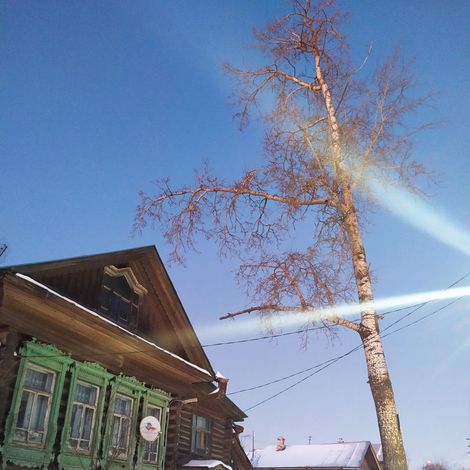 В ветренную погоду жители этих домов по ул. Голикова предпочитают находиться вне дома. Опасаются зеленого великана и прохожие тротуара.